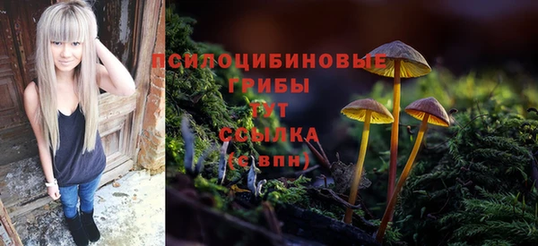 меф Армянск
