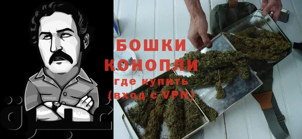 эйфоретик Арсеньев