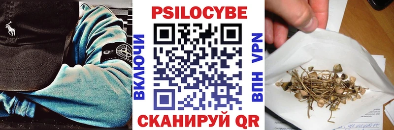 Купить закладки  Ясный  Псилоцибиновые грибы Psilocybe 